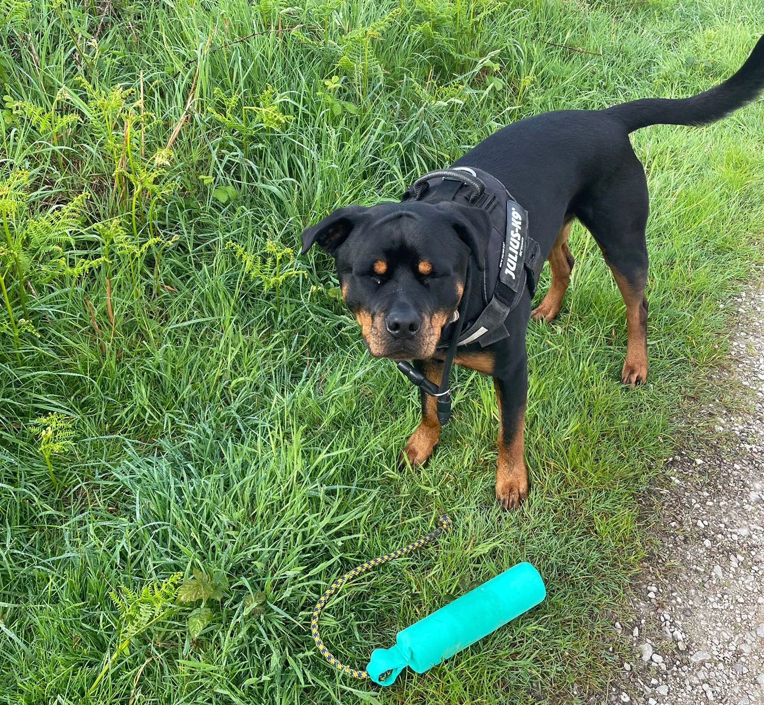 jake playing with his toy