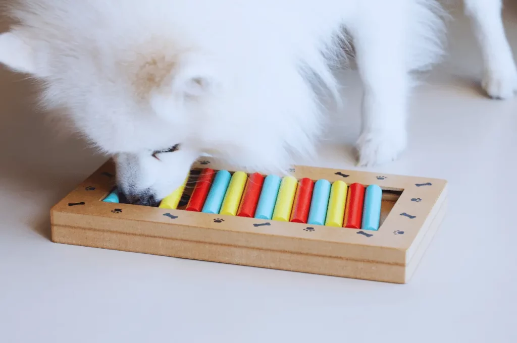 Brain Games For Dogs