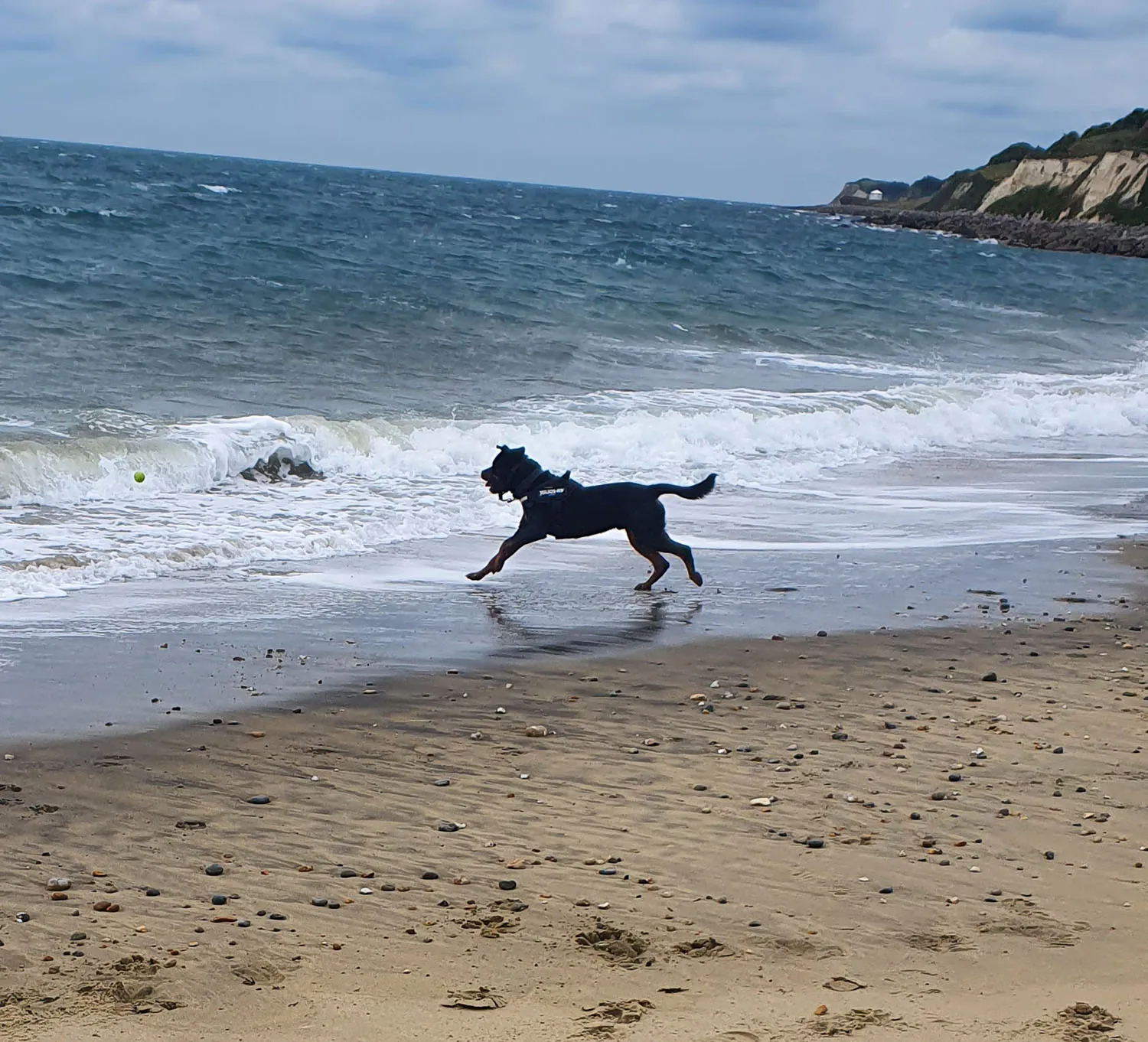 jake running towards the sea