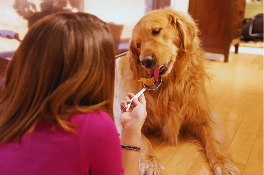 3 Ingredient Dog Treats