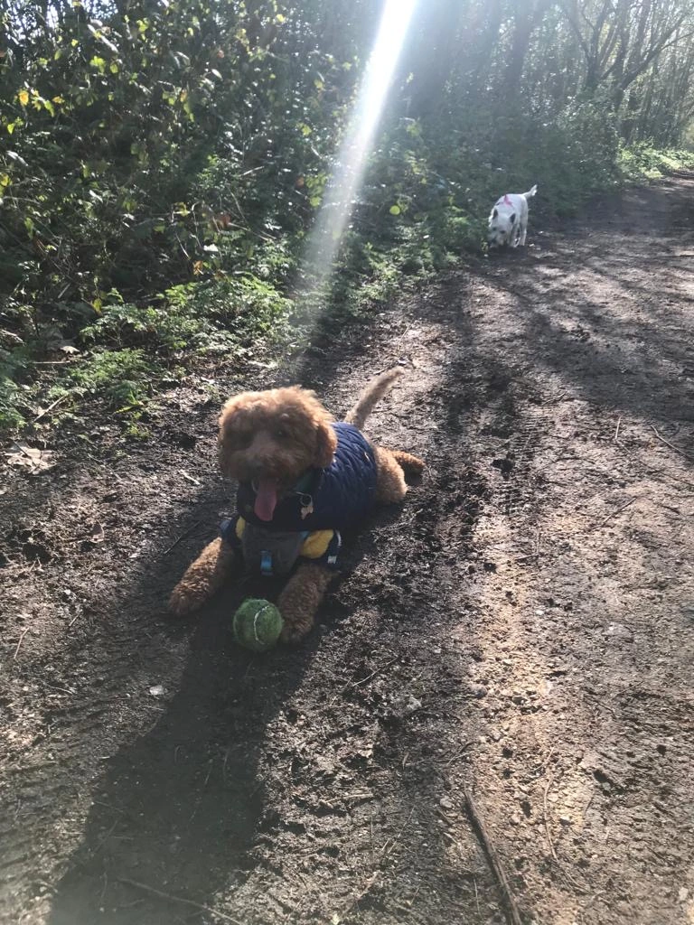 billy in the mud