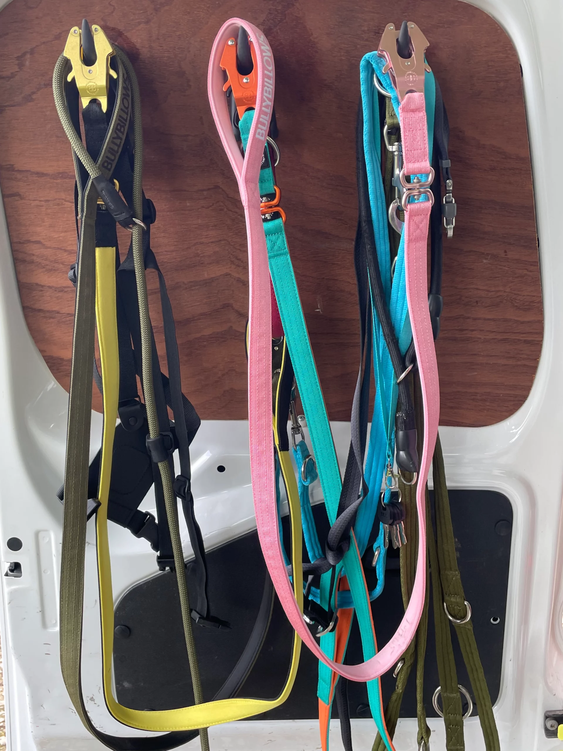 leads on the door in van 