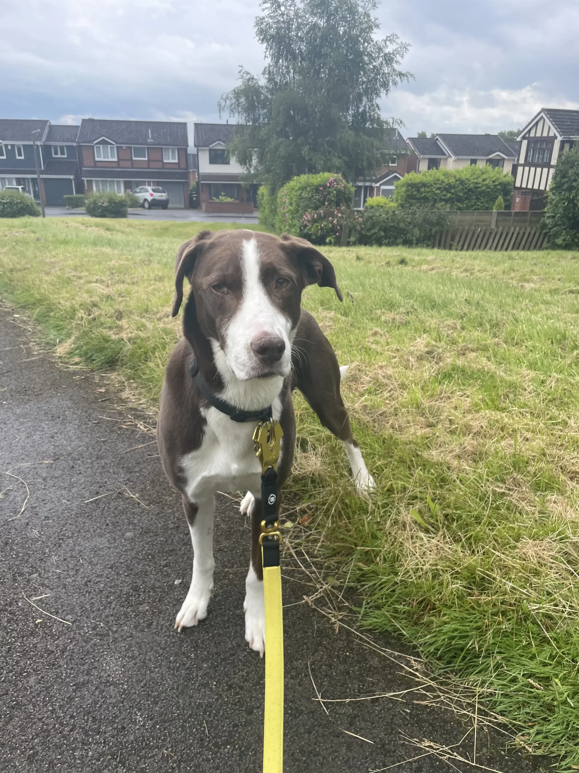 Fred walking 